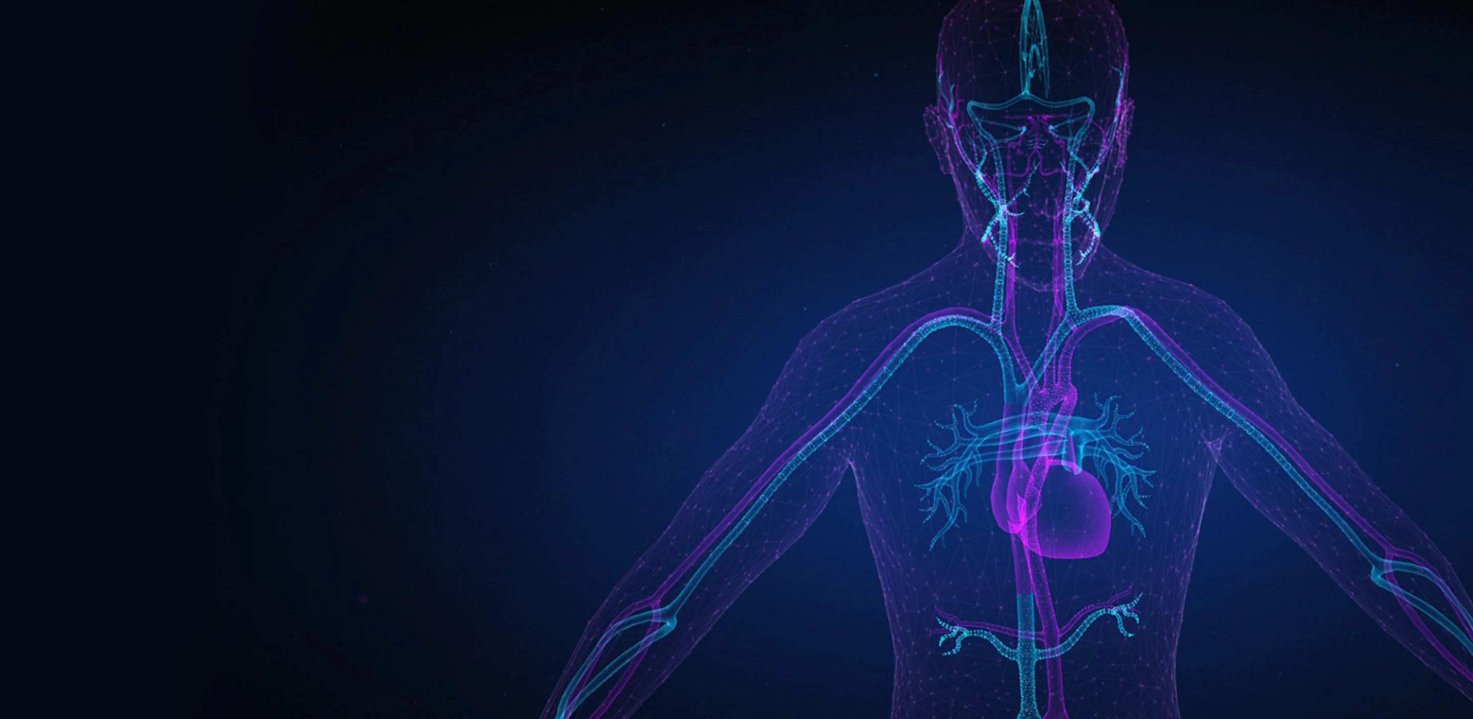 Whole Body Health undefined