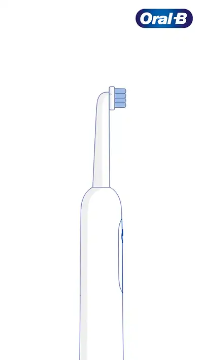 Tannleger anbefaler å erstatte ditt Oral-B børstehode hver 3 måned optimal rensing og munnhygiene 