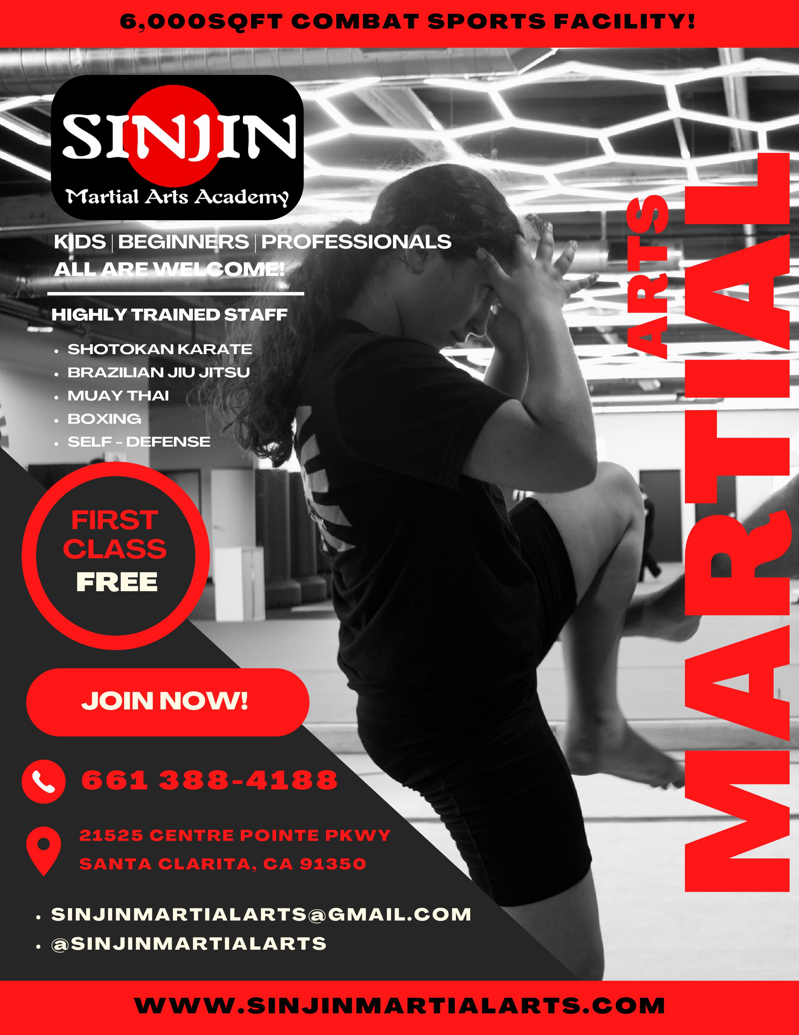 SinJin Martial Arts