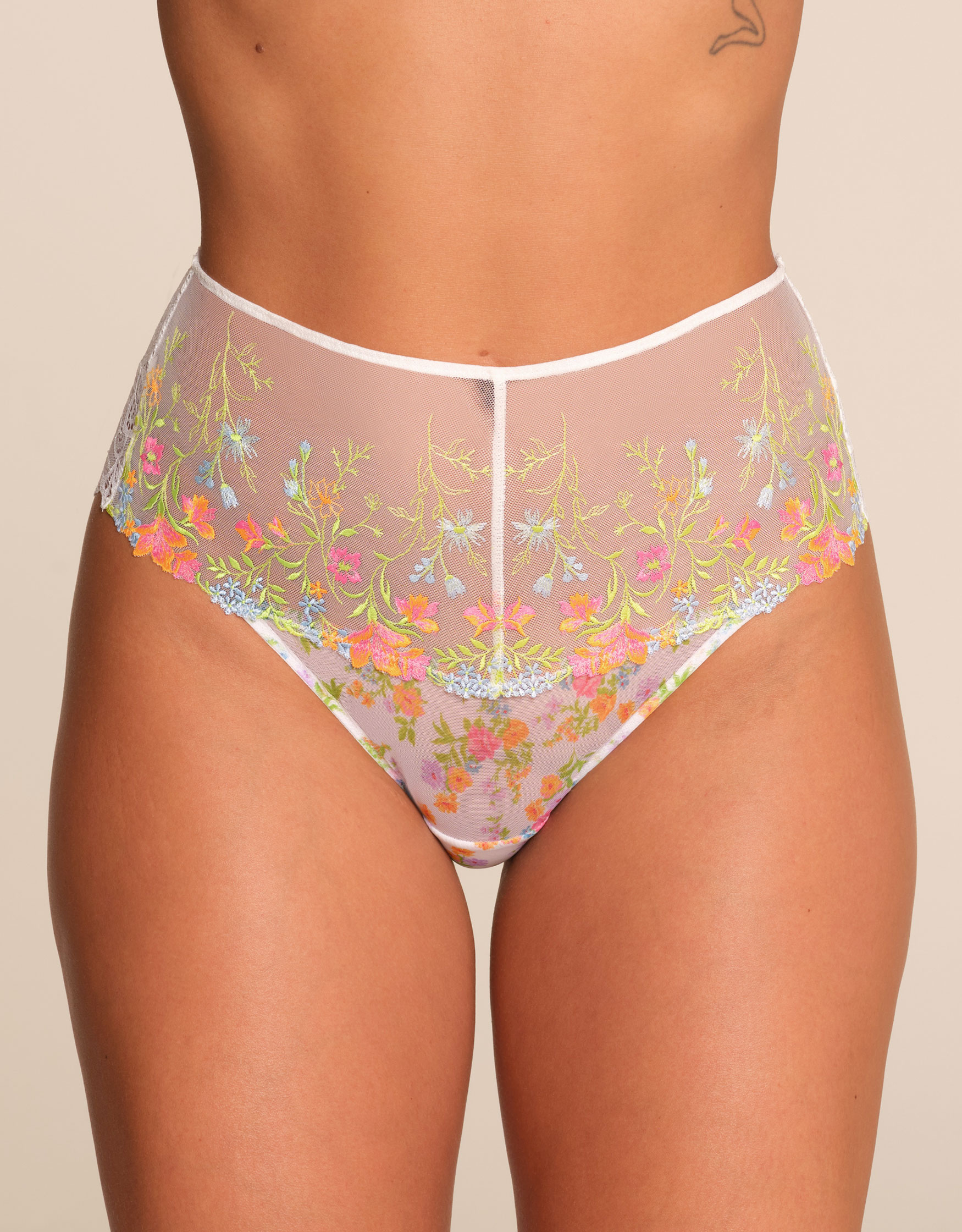 Pia High Waist Brief by Bravissimo