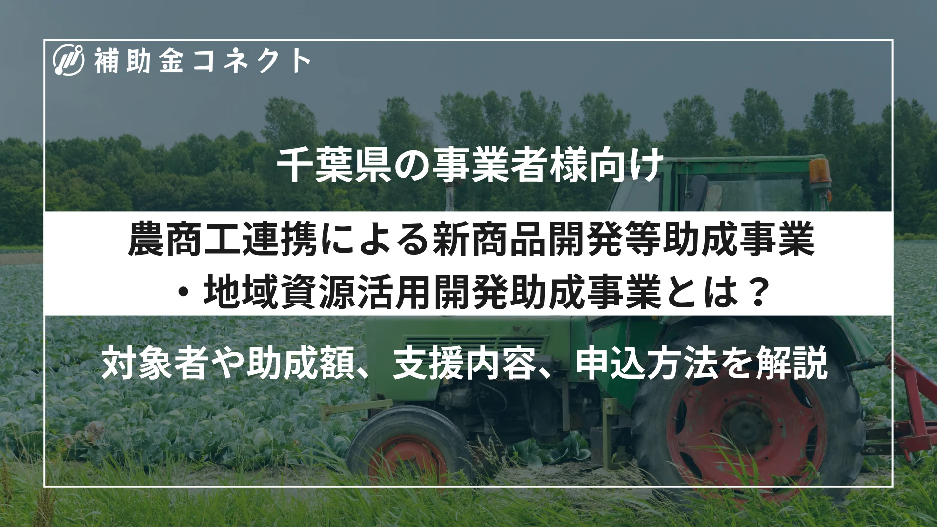 農商工連携による新商品開発等助成事業・地域資源活用開発助成事業とは？対象者や助成額、対象経費、申請時の注意点を解説のイメージ