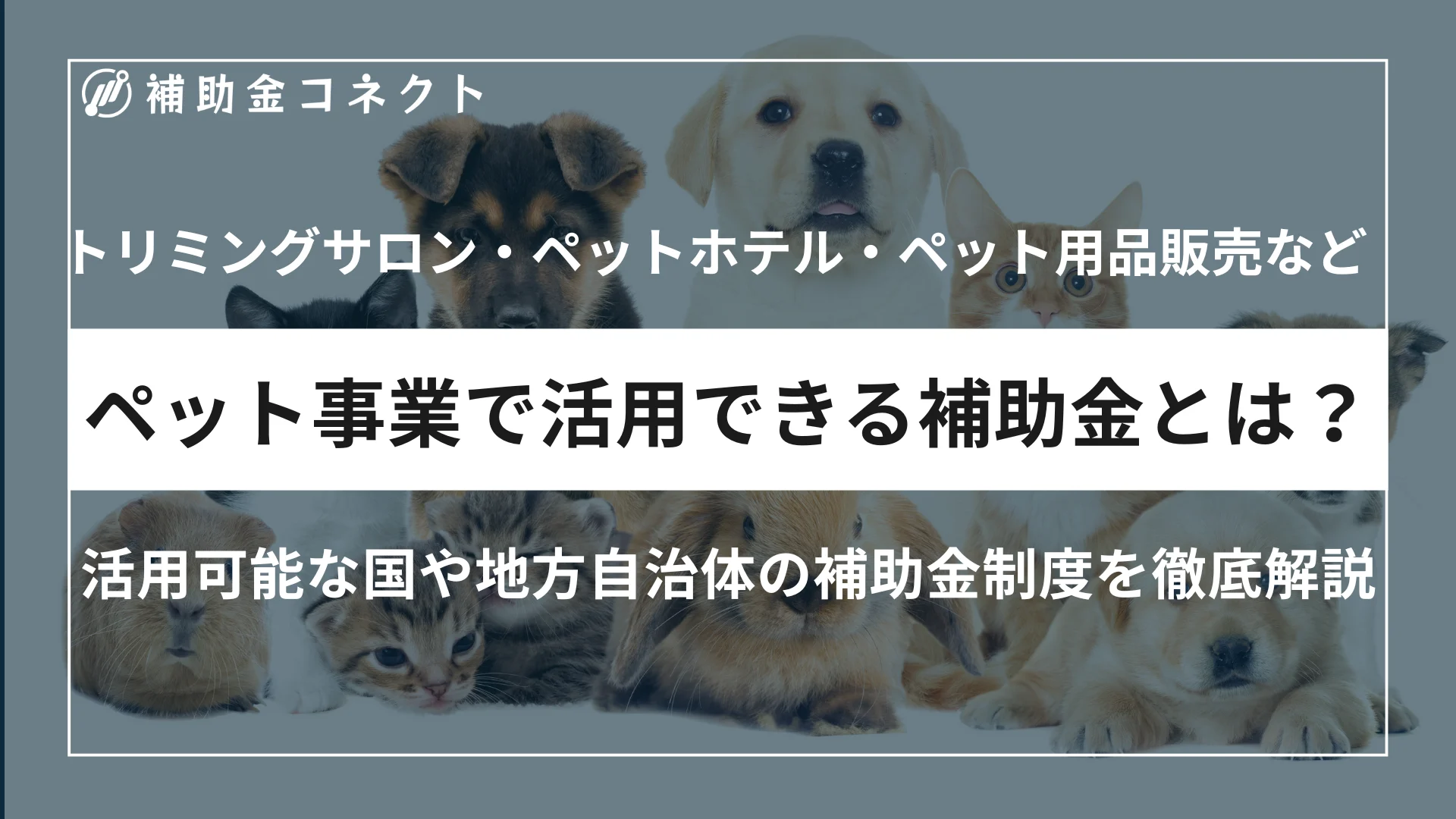 ペット事業で活用できる補助金とは？トリミングサロン・ペットホテル・動物病院・ペット用品販売で使える制度を解説のイメージ