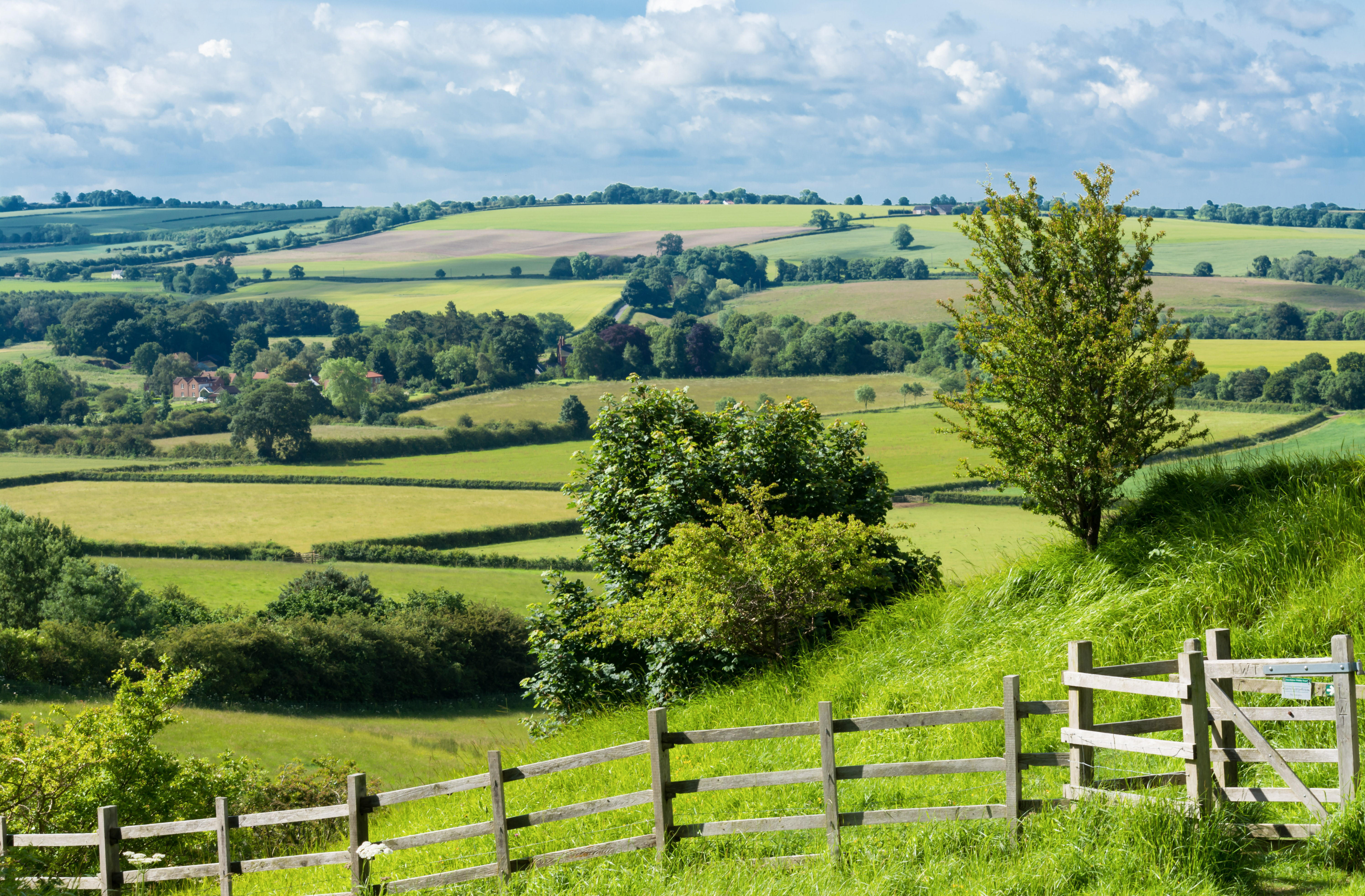 English countryside field with hills and fences