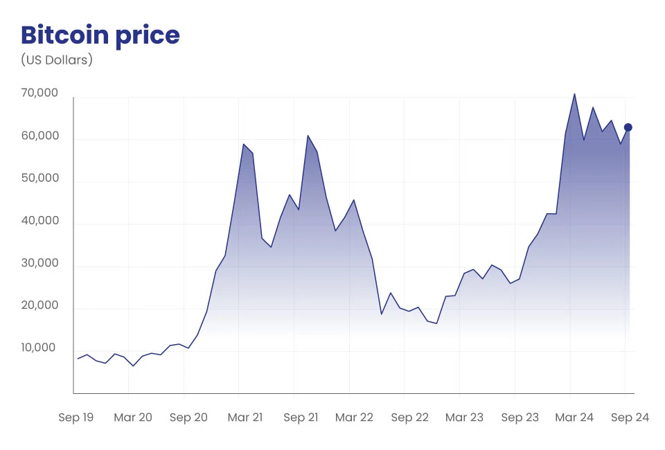 Bitcoin price graph