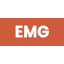 Smart Emerging Markets ESG ETF (EMG)