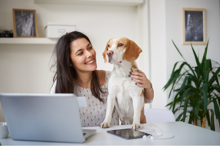 Emotional Support Animal Registration: Facts, Myths, and More