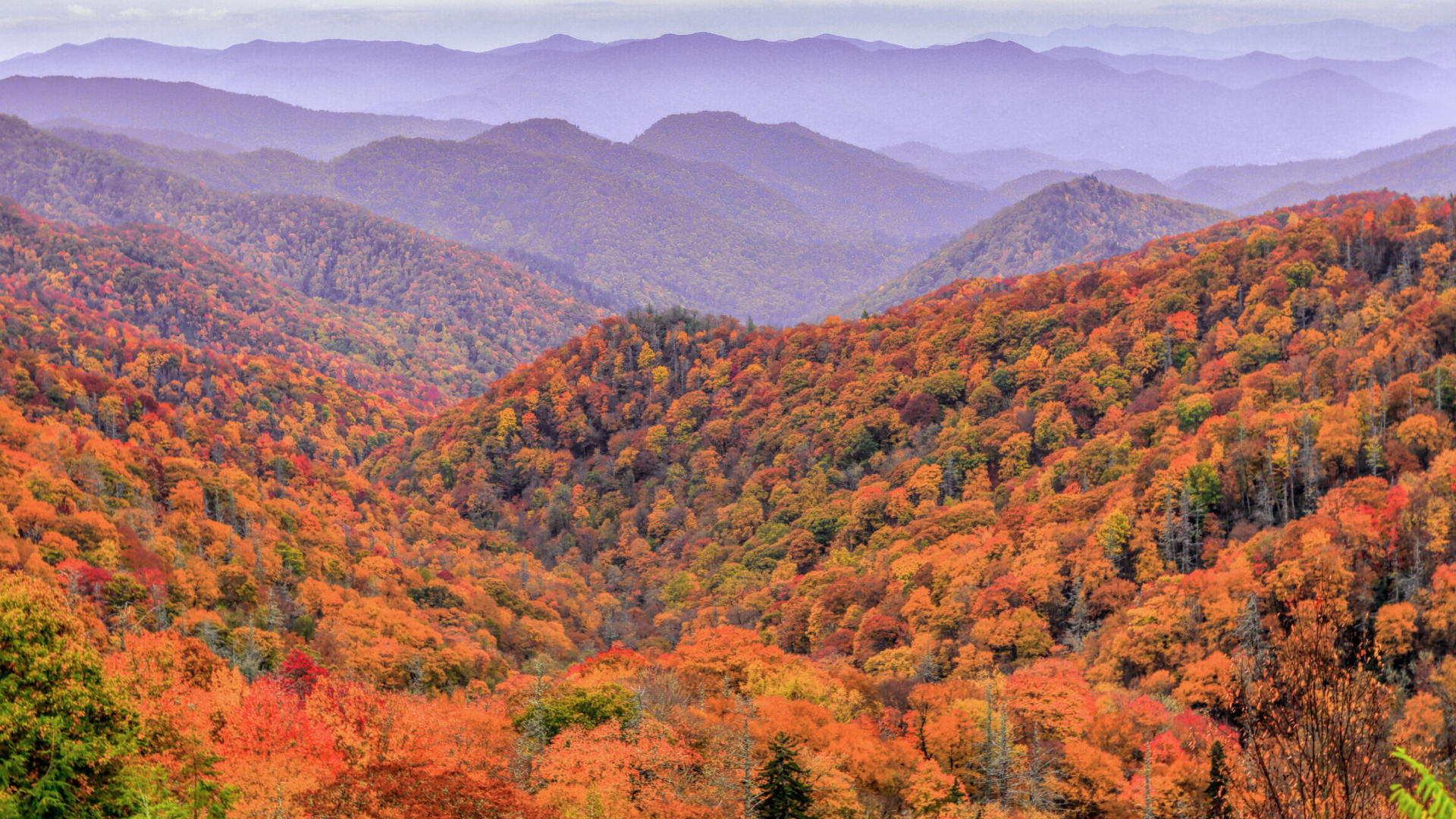 North Carolina
