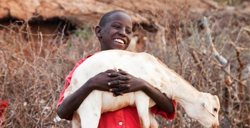 African boy with a white goat in his hands, who is very happy about it.