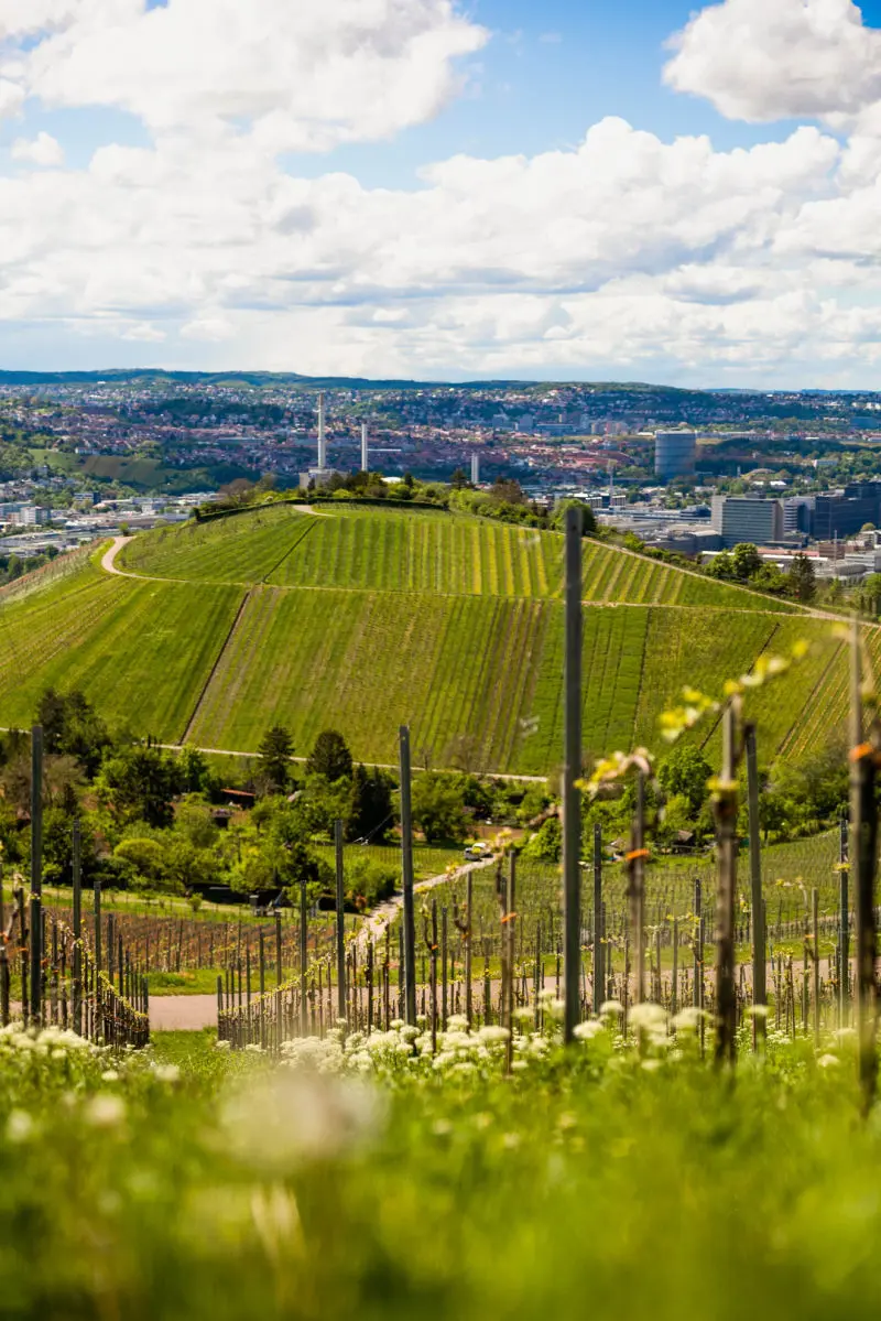 media-stuttgart-ride