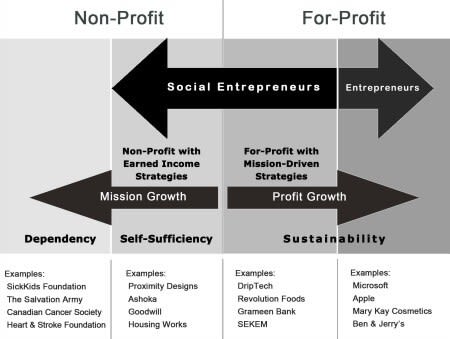 Social Entrepreneurship infographic. Credit: http://timreview.ca/