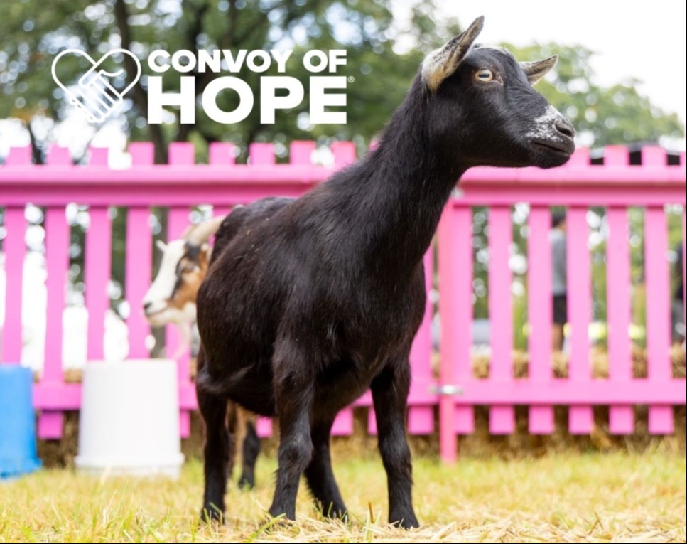 Goats Give Back: Convoy of Hope