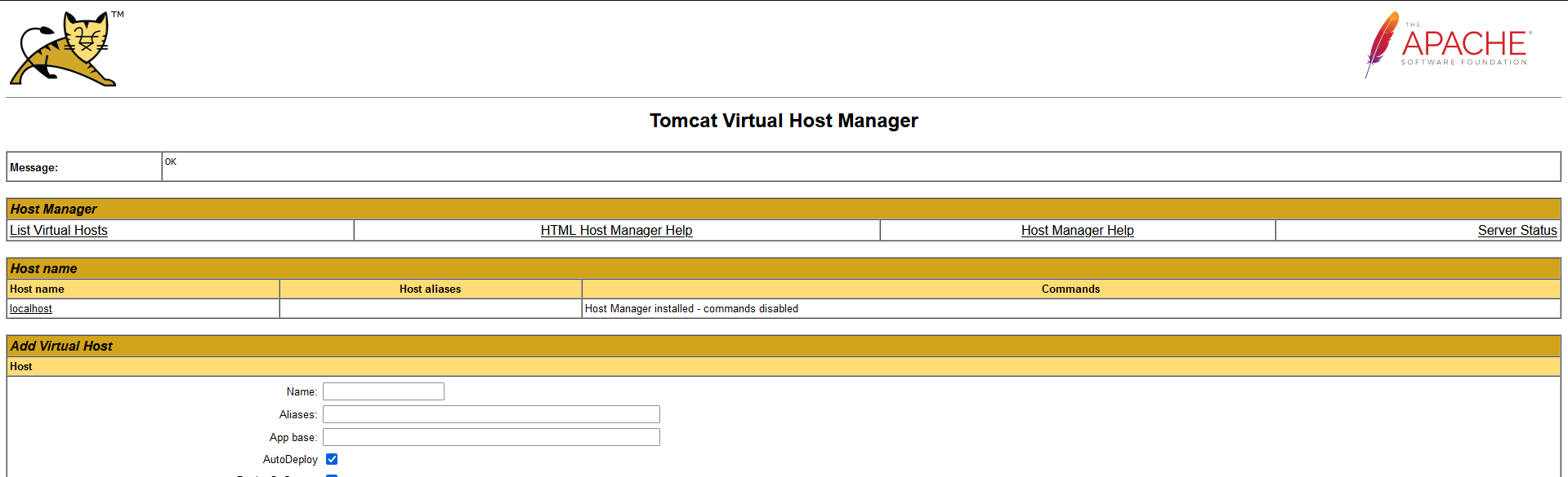 Tomcat Virtual Host Manager