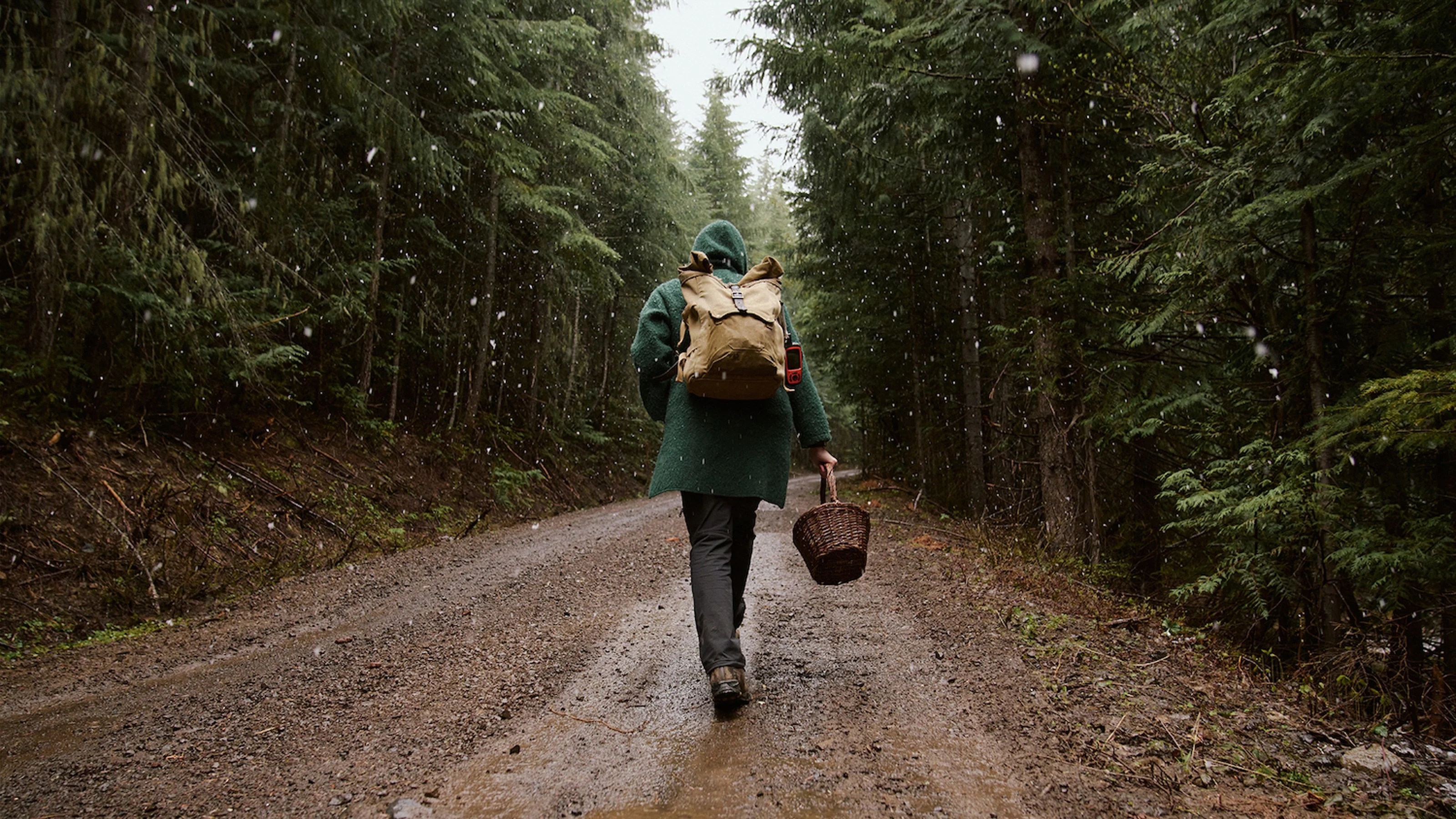 Mushroom Hunting with Yellow Elanor and the Biwa™