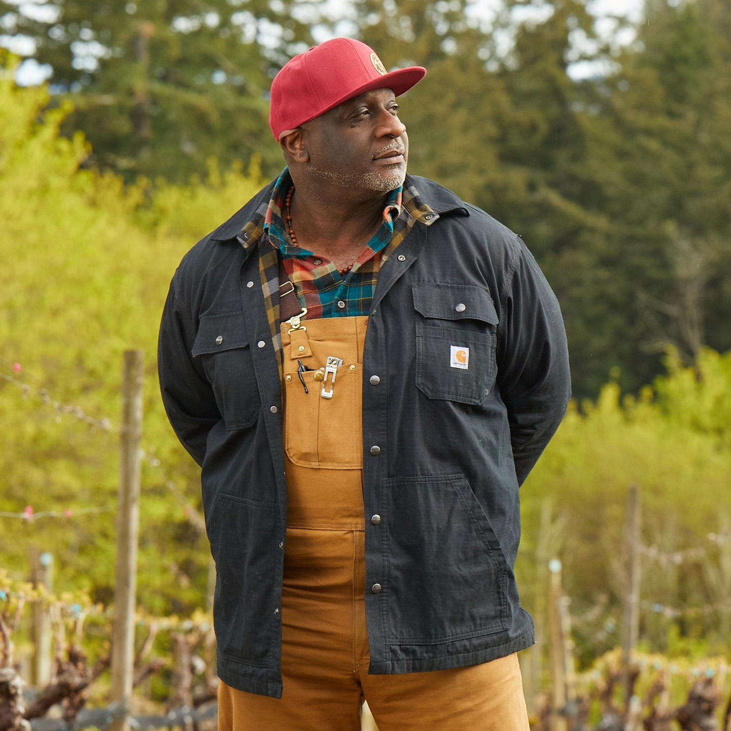 African American man in overalls standing in vineyard.