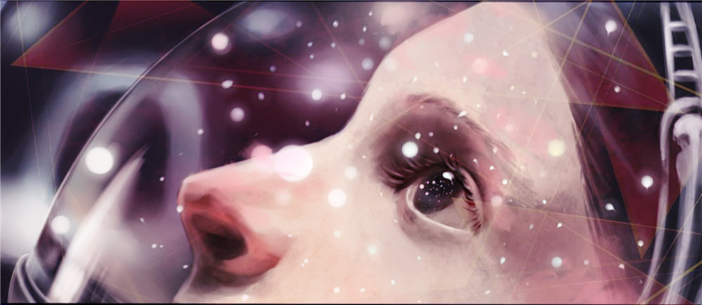 Look Into The Universe