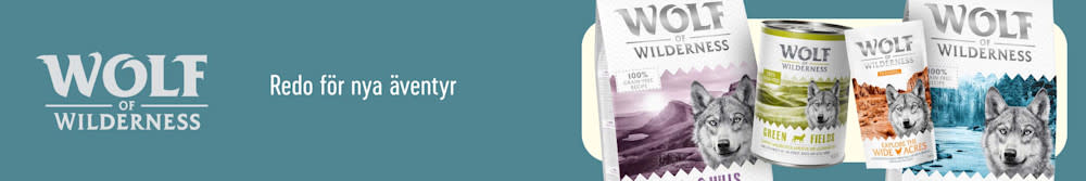 Wolf of Wilderness. Redo för nya äventyr.