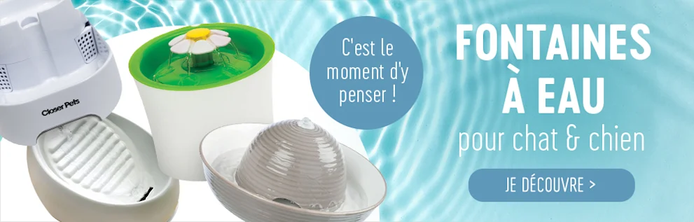 Découvrez toutes les fontaines à eau pour chien et chat sur bitiba !