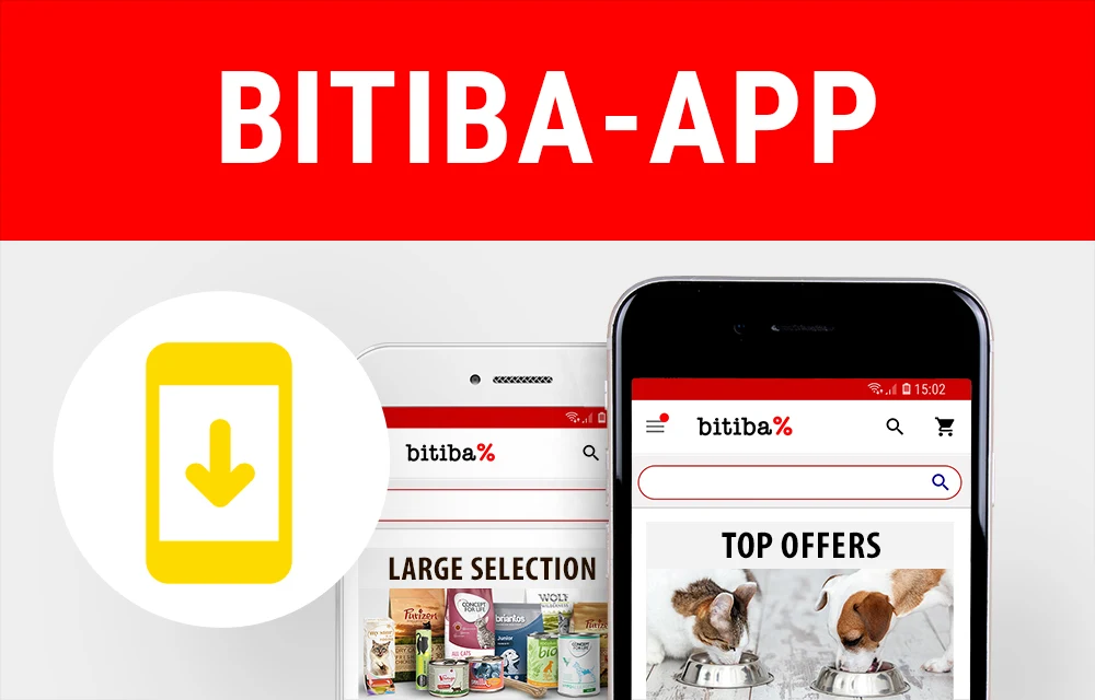 Discover the bitiba world of benefits and advantages