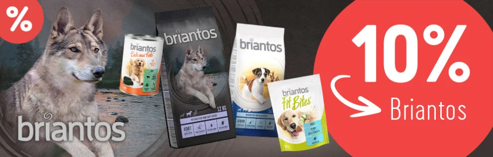 Jetzt sichern: 10% auf Briantos Hundefutter - nur bis 30.06.24