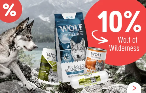 Jetzt sichern: 10% auf Wolf of Wilderness Hundefutter - nur bis 30.04.24