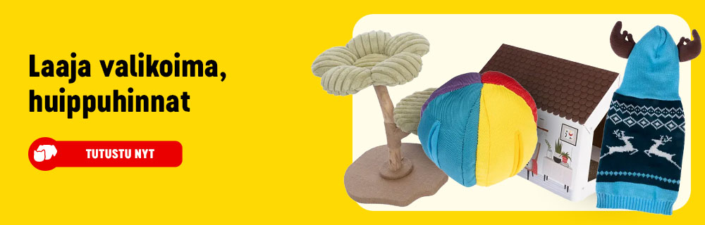 2026_01_OBA__Evergreen_FI