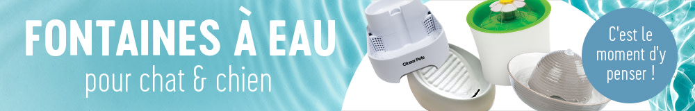 Fontaines à eau pour chat & chien à petits prix