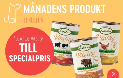 månadens produkt