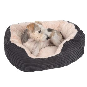 Small dog beds