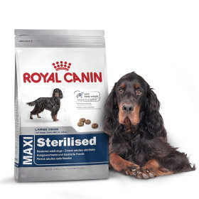 Royal Canin pour chien Stérilisé