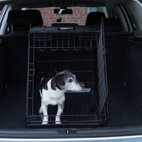 Klatki transportowe dla psów