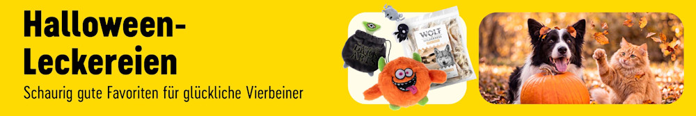 Jetzt entdecken: Halloweenleckereien. Schaurig gute Favoriten für glückliche Vierbeiner!