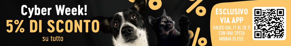 2023 11 CyberWeek AppExclusive 1000x320 BI DE