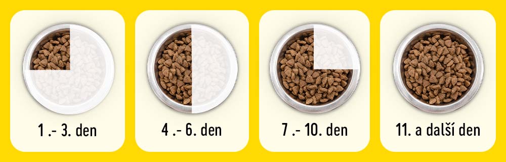 1.-3. den 4.-6. den 7.-10. den 11. a další den