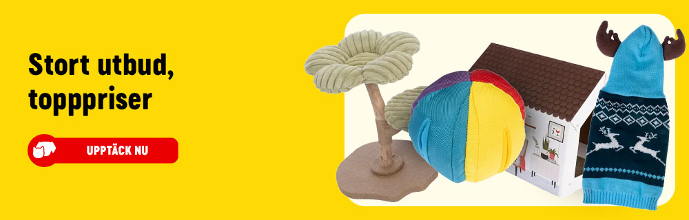 2026_01_OBA__Evergreen_SE