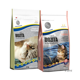 Cat dry food