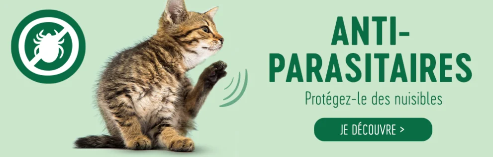 Protégez votre fidèle compagnon contre les parasites avec les antiparasitaires pour chat disponibles sur zooplus !
