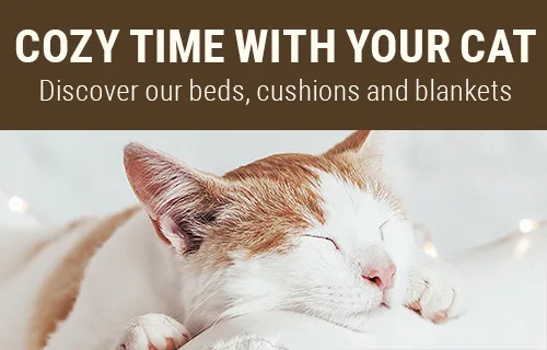 Discover Cat Beds, Cushions & Blankets