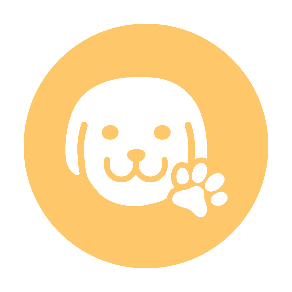 Karma dla szczeniąt