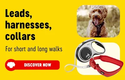 Big Discounts on Dog Food, Cat Food, Pet Accessories and more at bitiba!