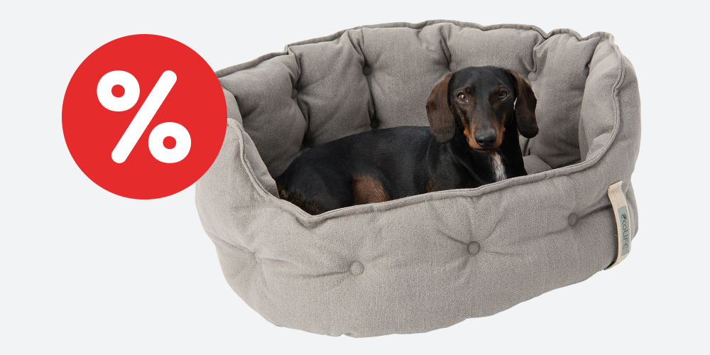 Cozy ecoLIFE en oferta