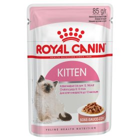 Royal Canin Feline comida húmeda gatos