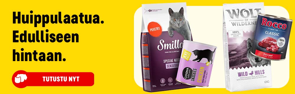 Huippulaatua. Edulliseen hintaan. Tutustu nyt.