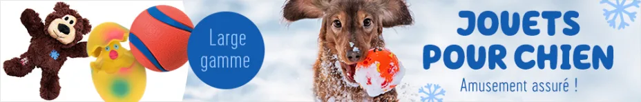 Jouets pour chien spécial hiver !