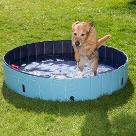 Wasserspielzeug + Hundepool