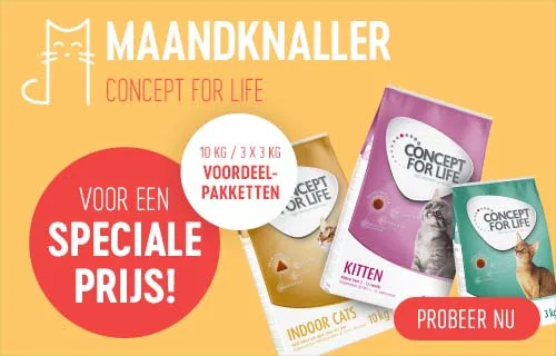 Concept for Life Kattendroogvoer Speciale prijs