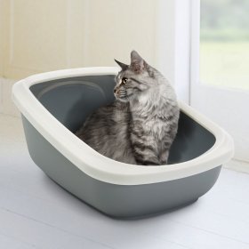 Areneros e higiene para gatos