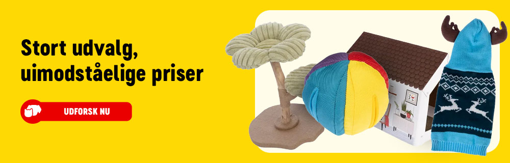 2026_01_OBA__Evergreen_Dk