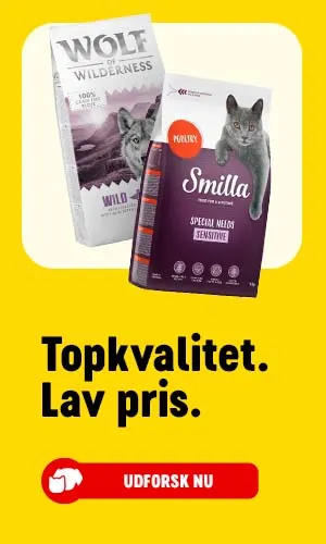 Topkvalitet. Lav pris. UDFORSK NU.