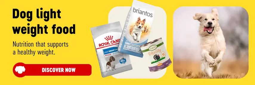 Big Discounts on Dog Food, Cat Food, Pet Accessories and more at bitiba!