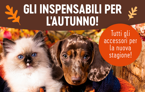 Bitiba - Autumn accessories for dogs and cats